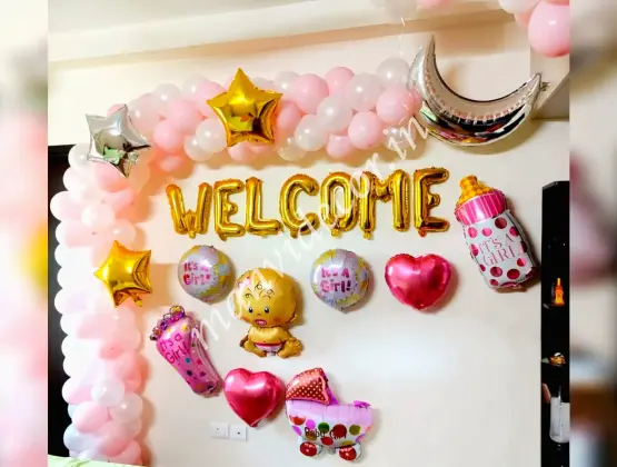 Baby Welcome Girl Theme Decor