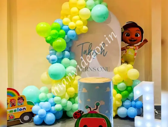 Demure Cocomelon Backdrop Decor