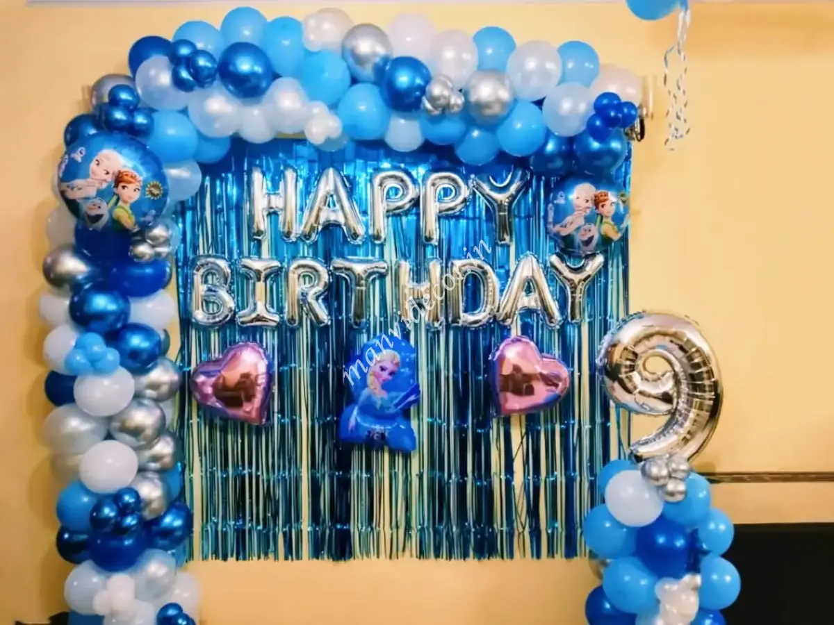 Disney Frozen Birthday Decoration