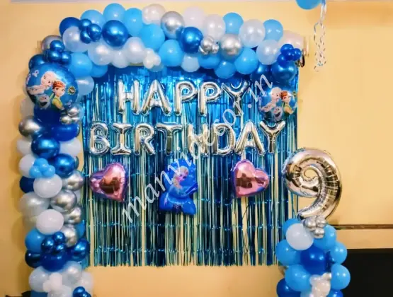 Disney Frozen Birthday Setup