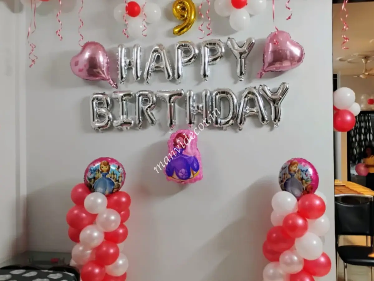 Sofia Princess Birthday Decor